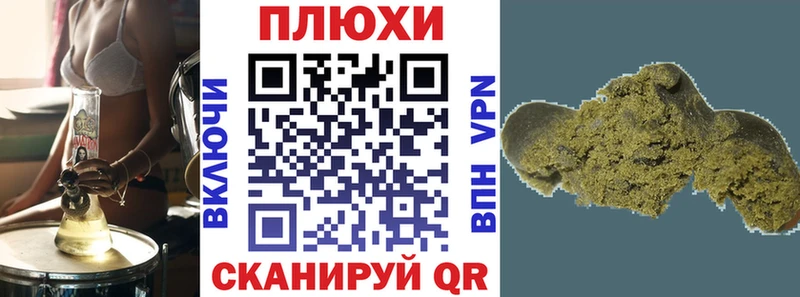 Купить  Южа  ГАШИШ индика сатива 